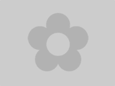 An item image placeholder