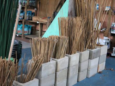 Bamboo Cane Stake 2 ft
